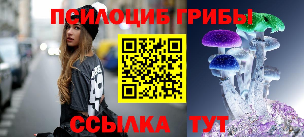 Псилоцибиновые грибы прущие грибы  Псилоцибиновые грибы Magic Shrooms  Вход с VPN  Заводоуковск 