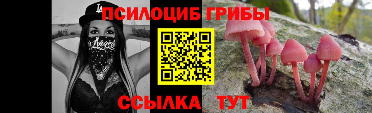 Псилоцибиновые грибы MAGIC MUSHROOMS Заводоуковск